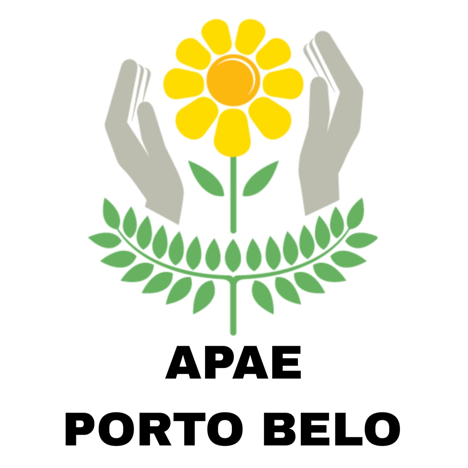 APAE Porto Belo